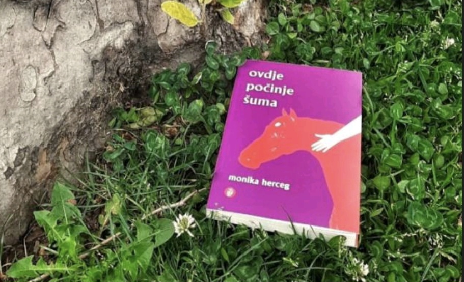 Monika Herceg – Ovdje počinje&nbsp;šuma